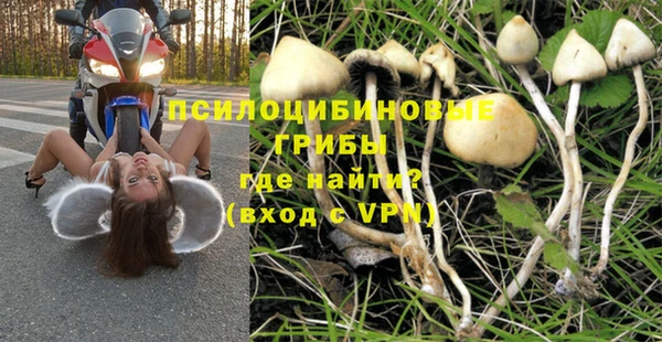 спайс Алзамай
